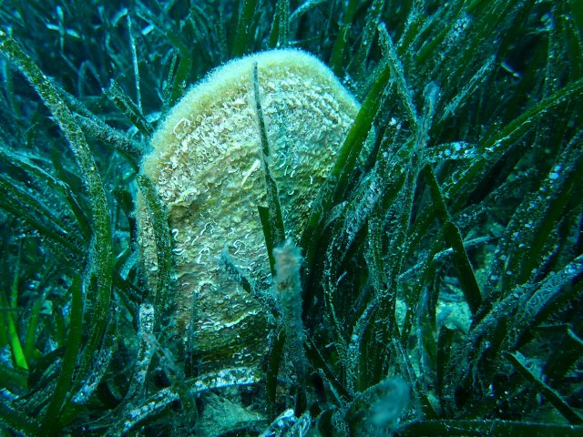 foto 31.05.19 21 31 14